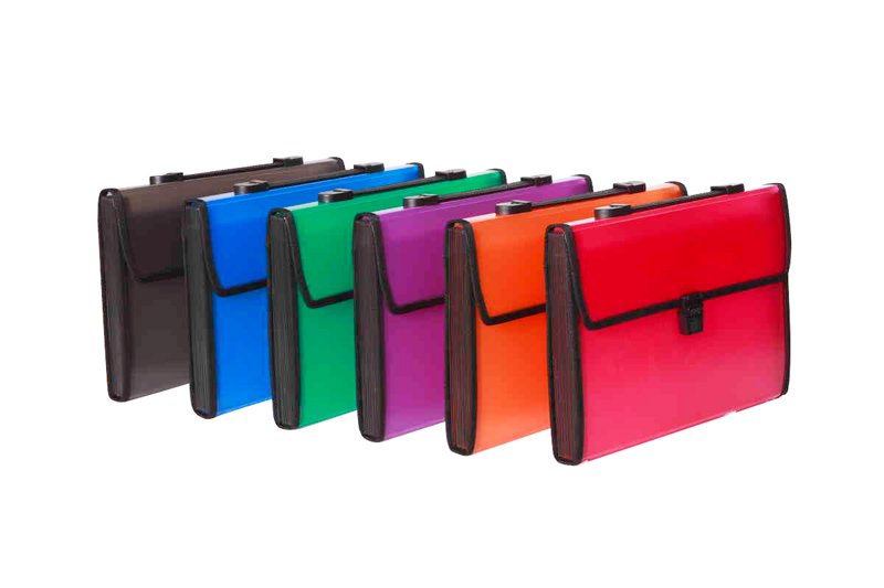 Portable organ bag 2,Shantou yilaili Industrial Co., Ltd., Shantou