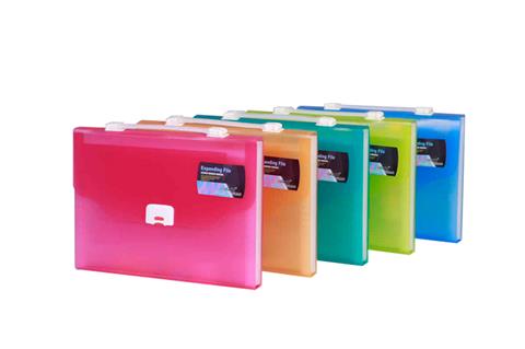 Portable neon color organ bag